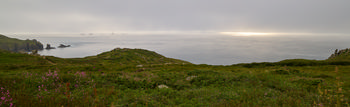 Cornish sun and mist This panoramic landscape photograph captures the Cornish sun and mist during an early summer evening along the rugged coastline of Cornwall. The view showcases lush green cliffs descending gently towards the calm sea, with wildflowers in the foreground adding seasonal detail. Out to sea, the famous Longships Lighthouse is visible, rising from the mist as a distinctive landmark, surrounded by scattered rocks. The low sun is partially obscured by atmospheric mist, producing a soft glow on the water and enhancing the atmospheric quality of the Cornish coastal scene.